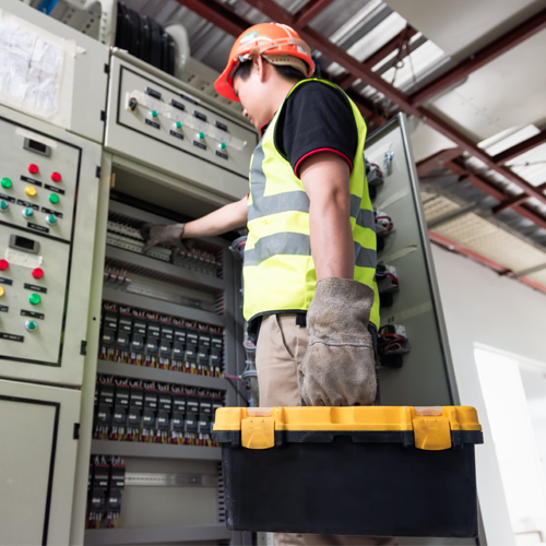 Inspection & Testing Services